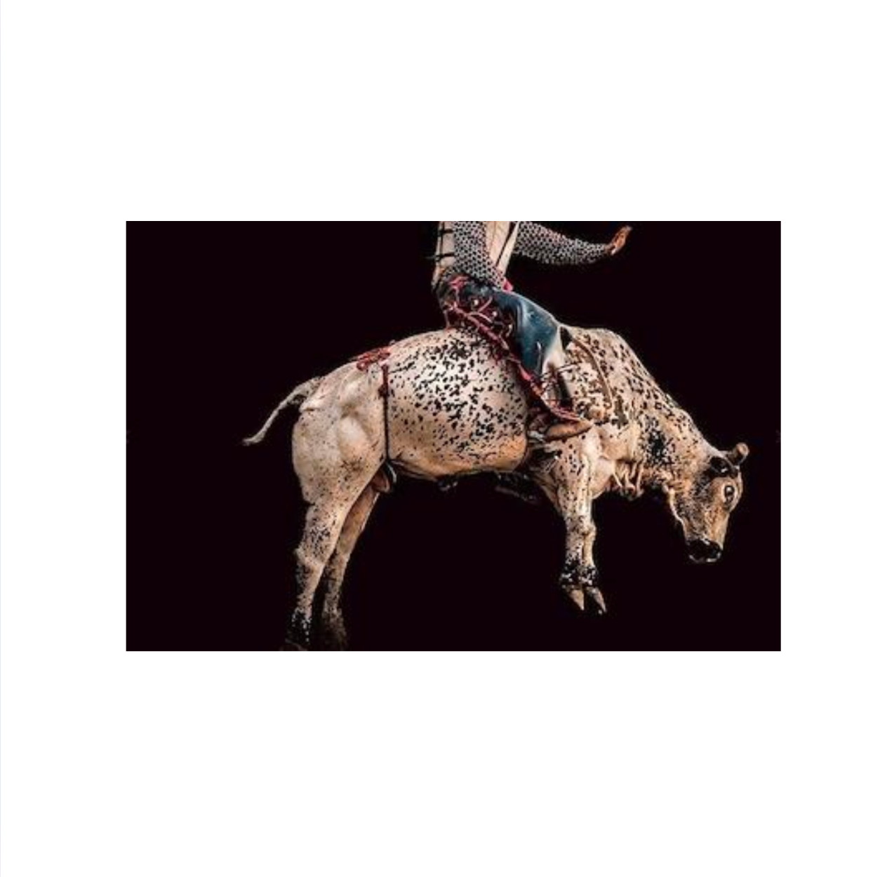Bull Rider Wall Art